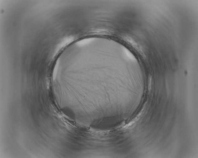 X0000088191405200706121704