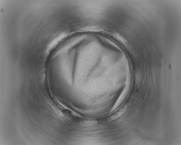 X0000088191406200706121704