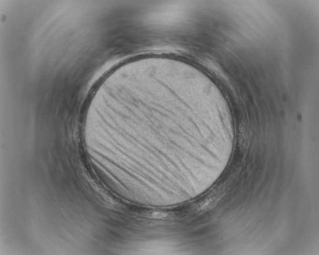 X0000088191412200706121704
