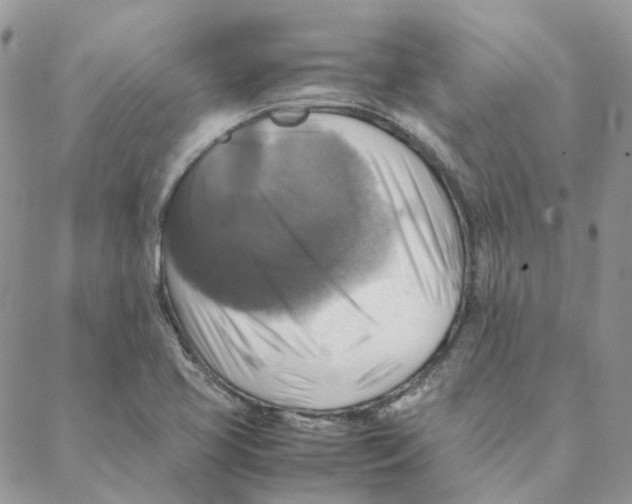 X0000088191413200706121704