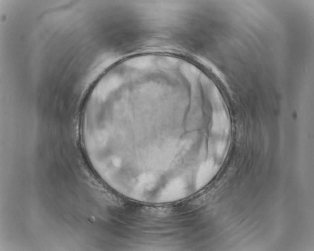 X0000088191415200706121704