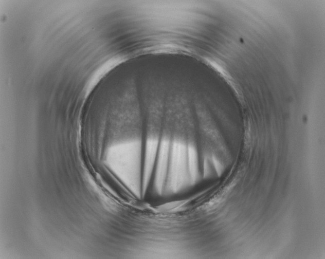 X0000088191418200706121704