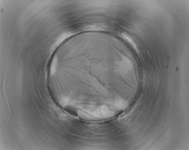 X0000088191419200706121704