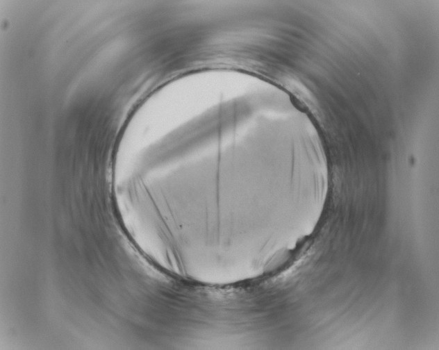 X0000088191428200706121704