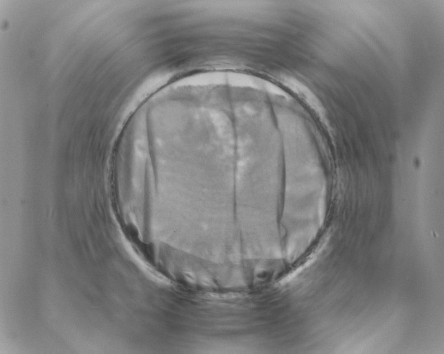 X0000088191429200706121705