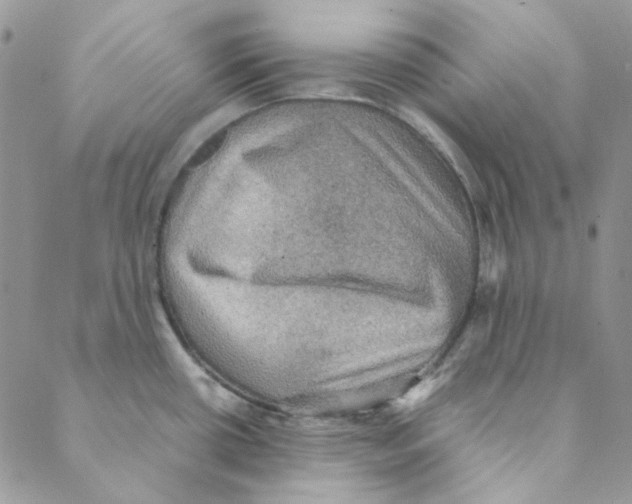 X0000088191434200706121705