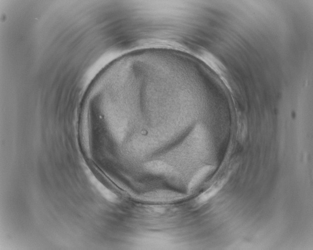 X0000088191438200706121705