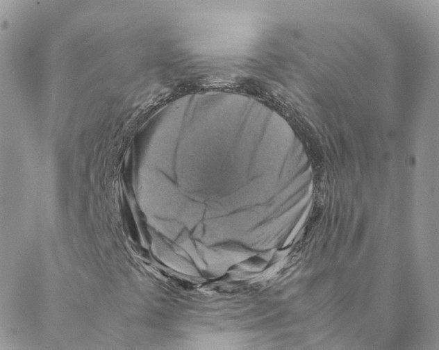 X0000088191441200706121704