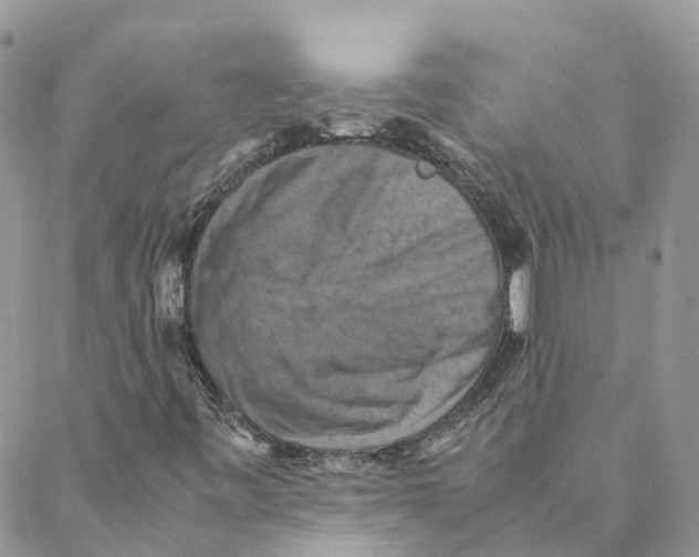 X0000088191443200706121704