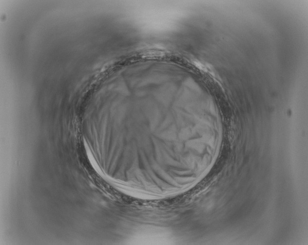 X0000088191445200706121704