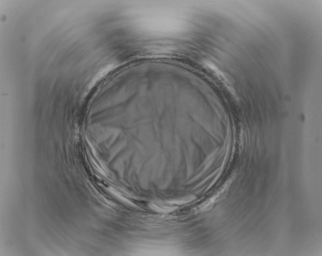 X0000088191449200706121704