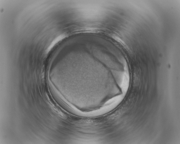 X0000088191450200706121704