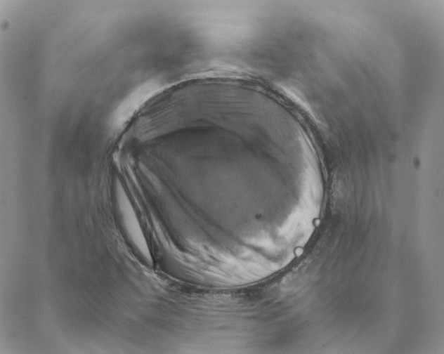 X0000088191455200706121704