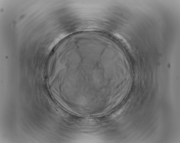 X0000088191457200706121704