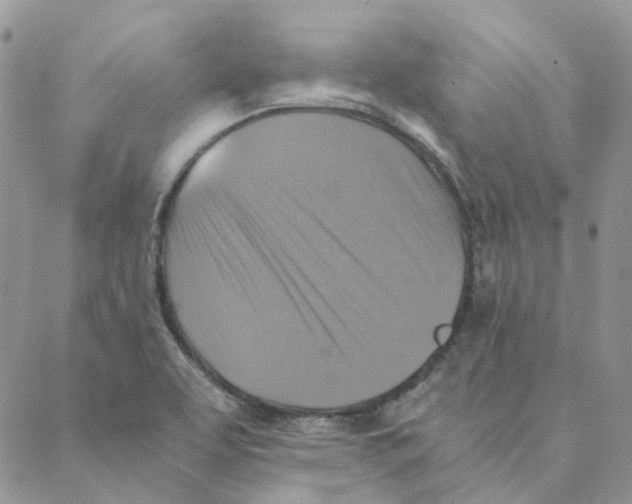 X0000088191463200706121704