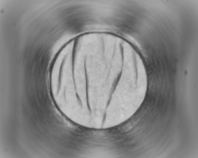 X0000088191472200706121703