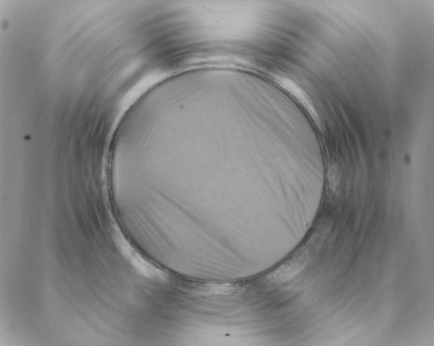 X0000088191482200706121703