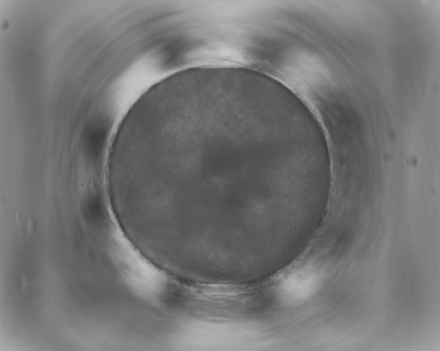 X0000088191488200706121703