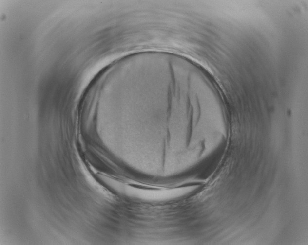 X0000088191515200706121703