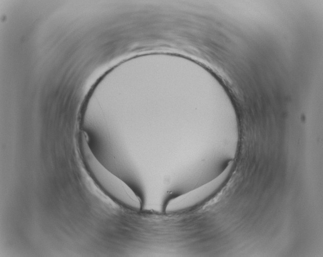 X0000088191518200706121703
