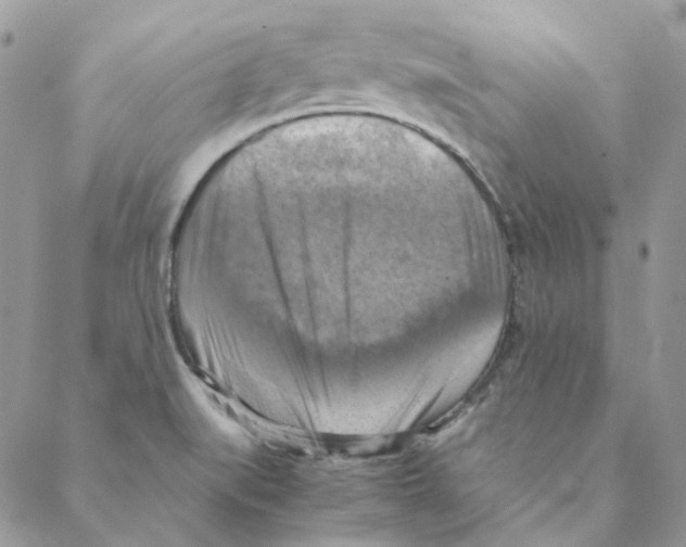 X0000088191519200706121703