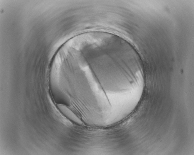 X0000088191522200706121703