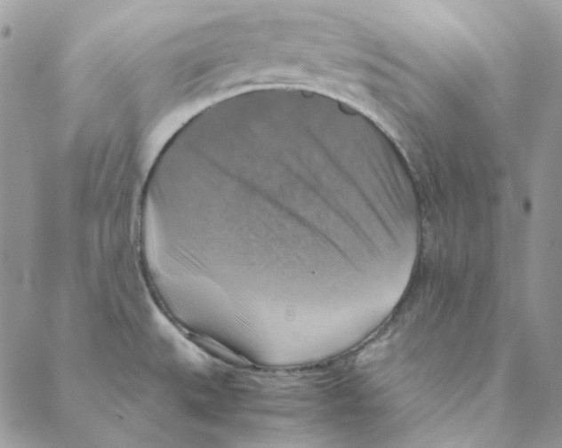 X0000088191527200706121703