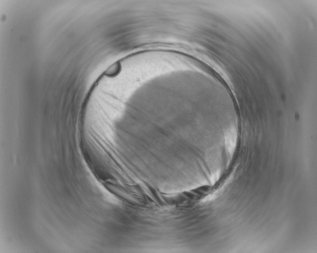 X0000088191533200706121703