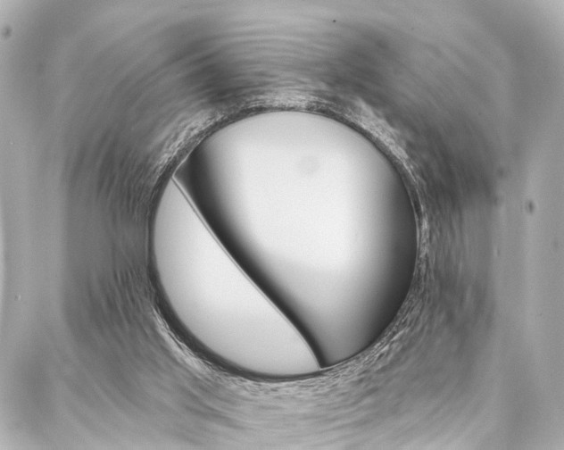 X0000088200013200705151037