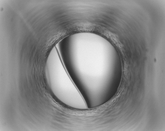 X0000088200017200705151037
