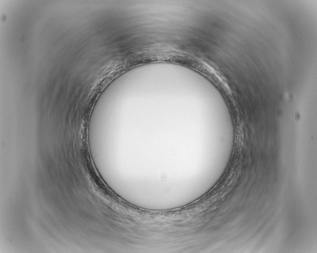 X0000088200018200705151037