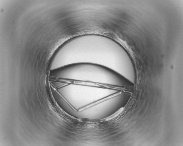 X0000088200060200705151036