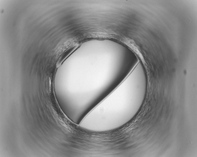 X0000088200109200705151036