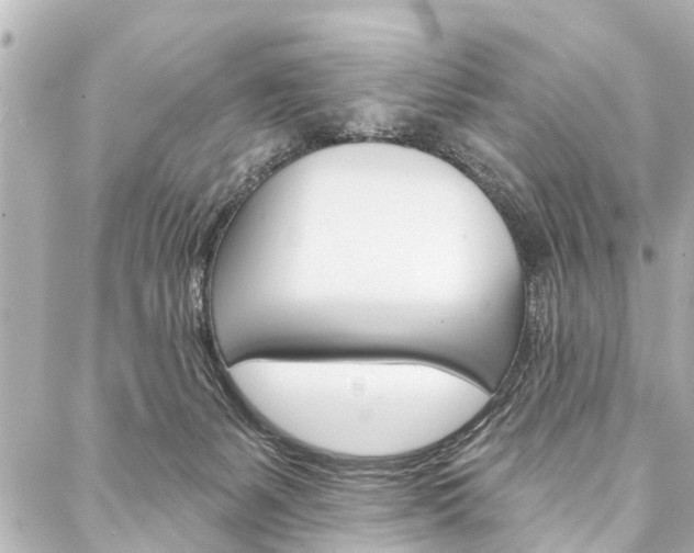 X0000088200127200705151036