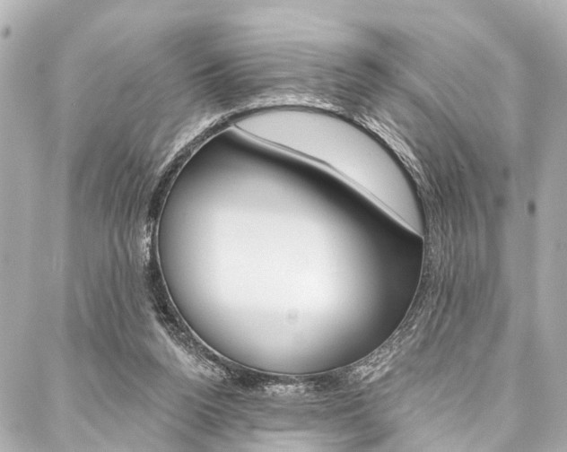 X0000088200160200705151035
