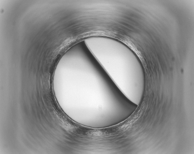 X0000088200253200705151033