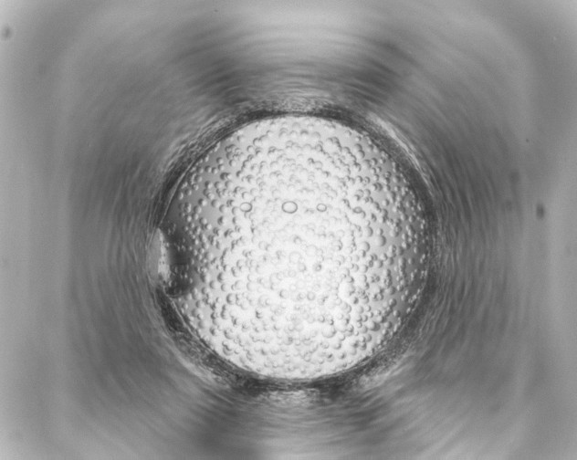 X0000088200307200705151033