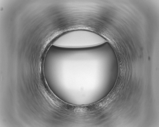 X0000088200350200705151032