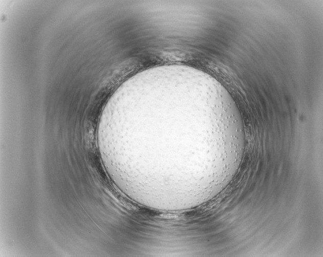 X0000088200418200705151031