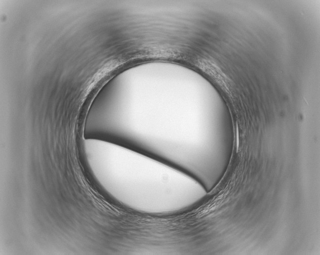 X0000088200483200705151030