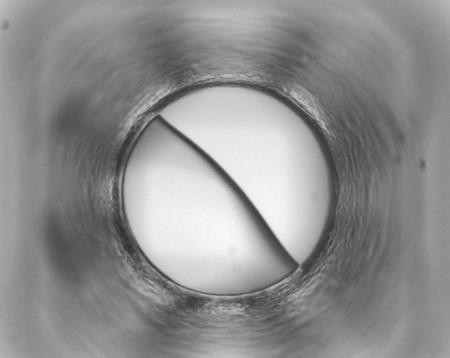 X0000088200491200705151030