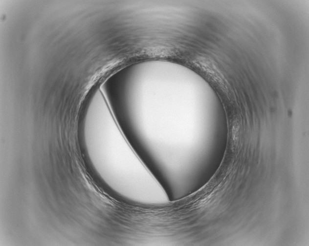 X0000088200492200705151030