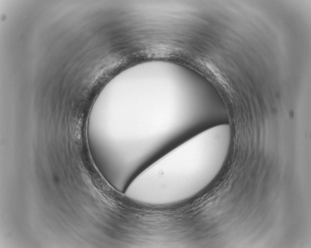X0000088200543200705151028