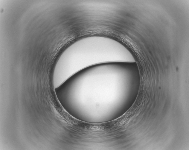 X0000088200546200705151028