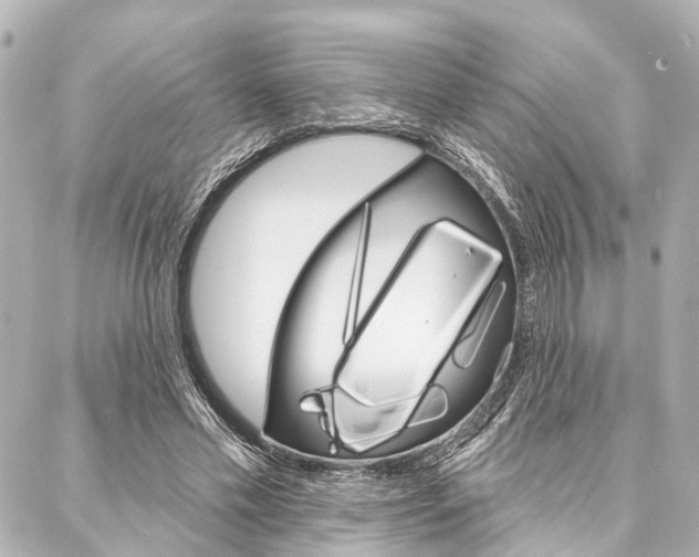 X0000088200589200705151028