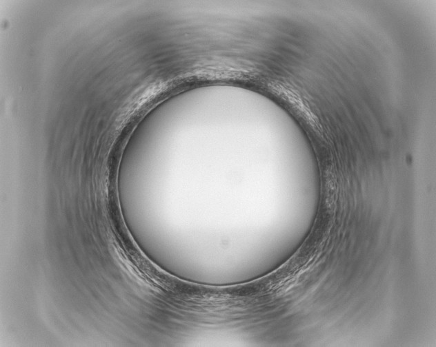 X0000088200631200705151026