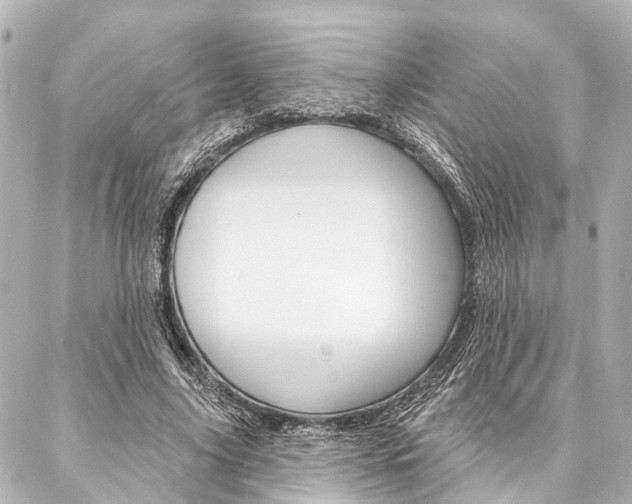 X0000088200635200705151027