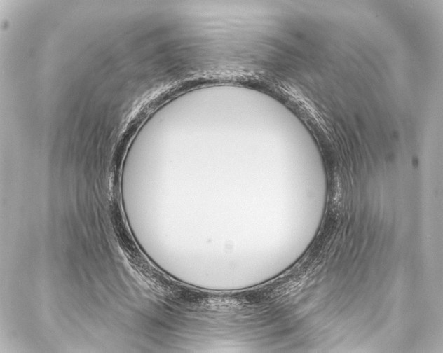X0000088200636200705151027