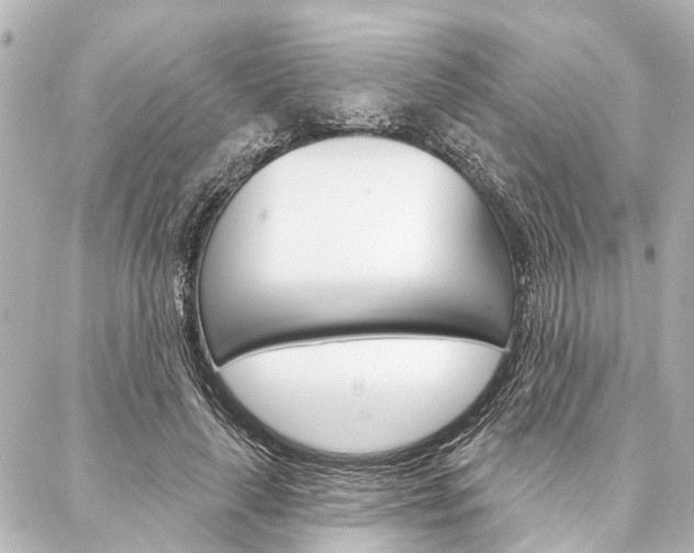 X0000088200643200705151027