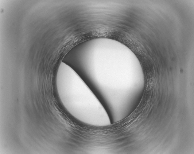 X0000088200647200705151027